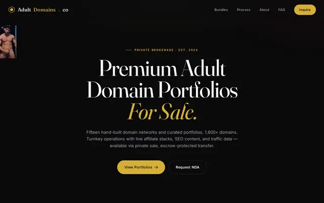 AdultDomains.co home page on a black background, with the headline Premium Adult Domain Portfolios For Sale, View Portfolios and Request NDA buttons, and a male webcam thumbnail in the left corner