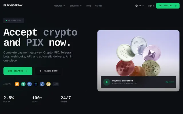 BlackNosePay home page, a crypto and PIX payment gateway