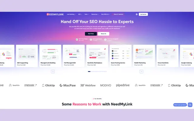 Accueil de NeedMyLink avec ses services de netlinking et leur prix de départ