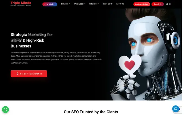 Page SEO adulte de Triple Minds, avec le titre « Strategic Marketing for NSFW and High-Risk Businesses », un bouton de consultation gratuite et un visage de robot qui tient un cœur